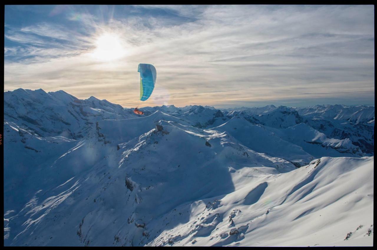 O 68 Haus Bel Air Daire Wengen Dış mekan fotoğraf