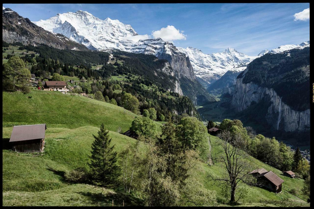 O 68 Haus Bel Air Daire Wengen Dış mekan fotoğraf