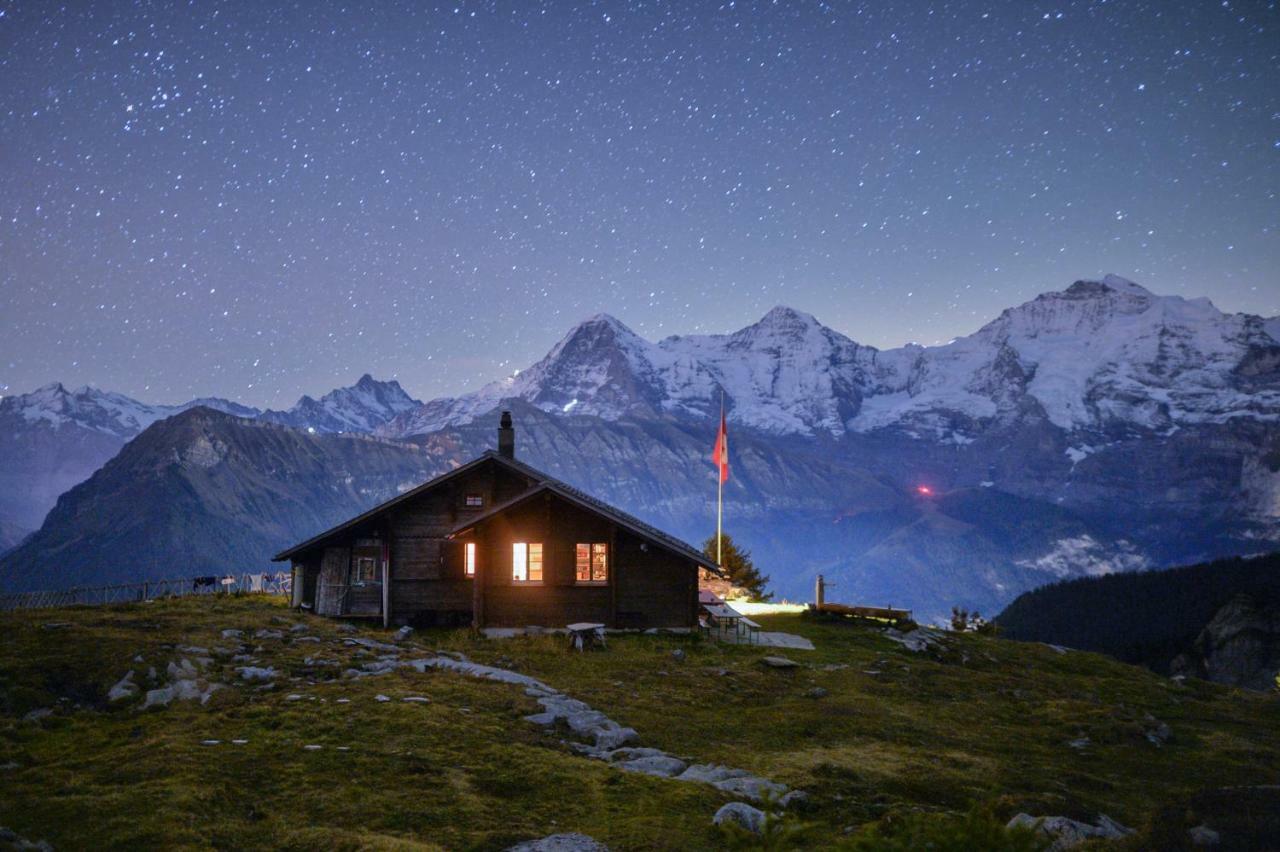 O 68 Haus Bel Air Daire Wengen Dış mekan fotoğraf